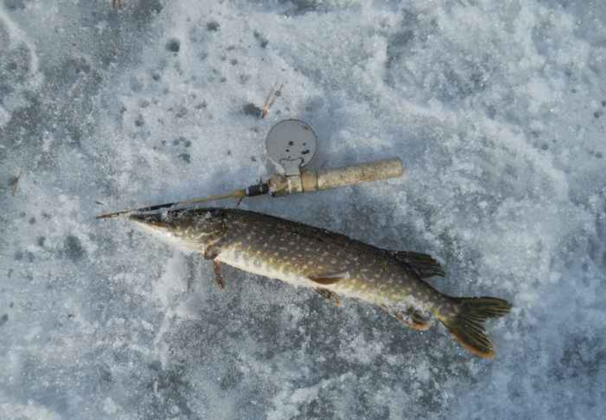 Рыбалка в Седаново