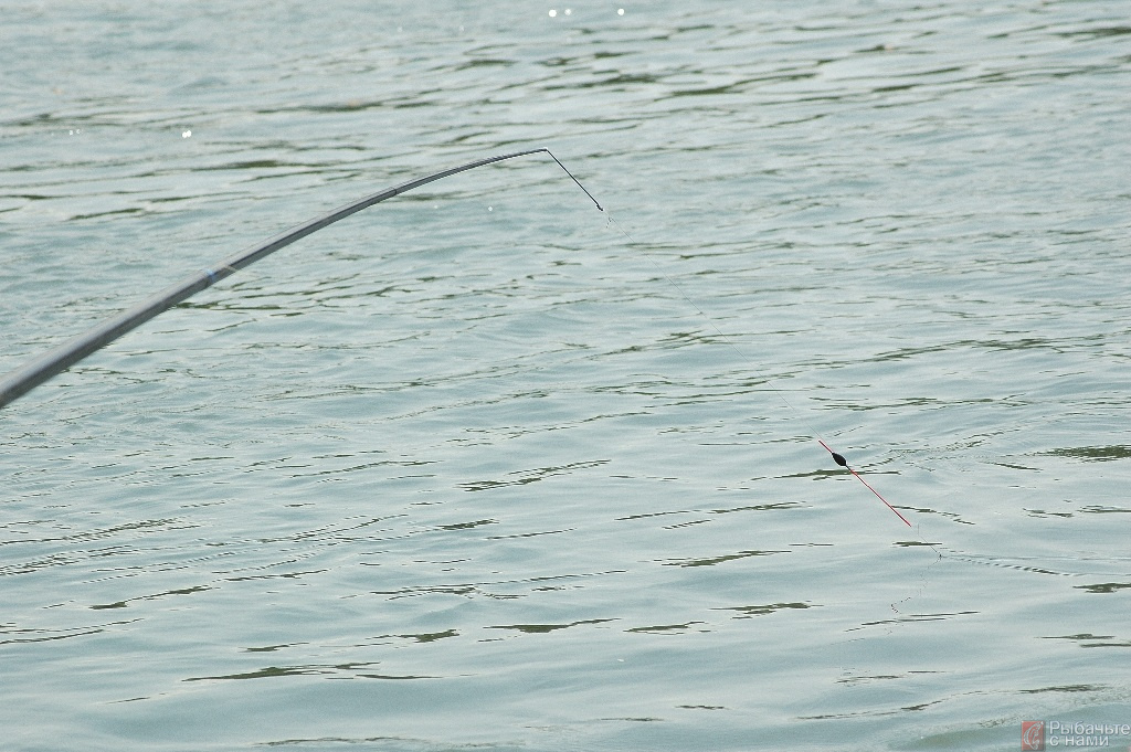 Рыбалка на сильном течении