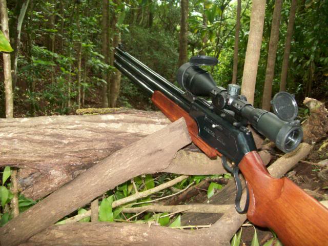 Пневматическая винтовка для охоты: достоинства пневматики и особенности выбора оружия