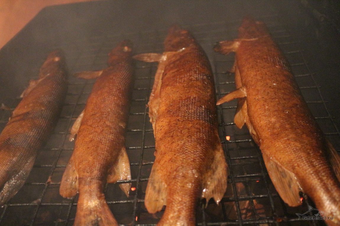 Копченая рыба и как правильно ее готовить
