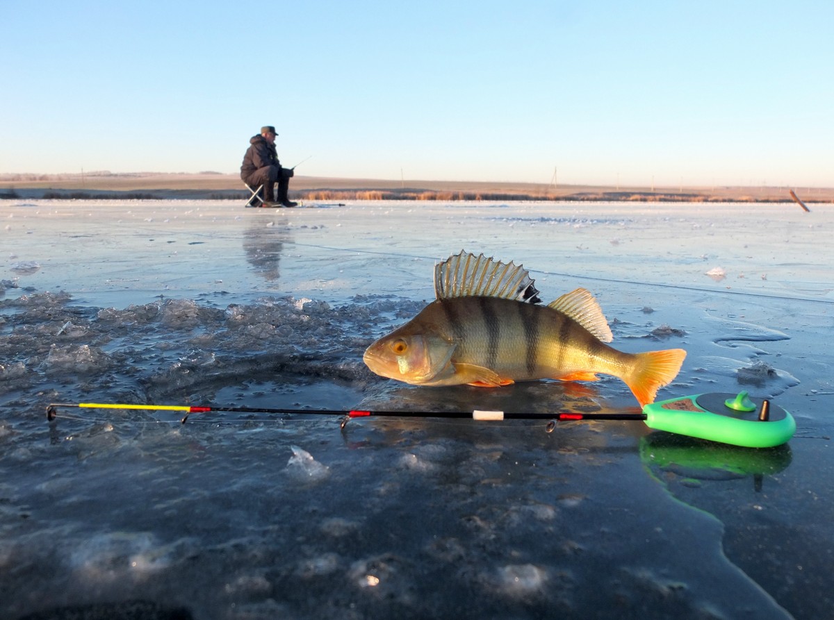 Первая зимняя рыбалка, или по прозрачному льду